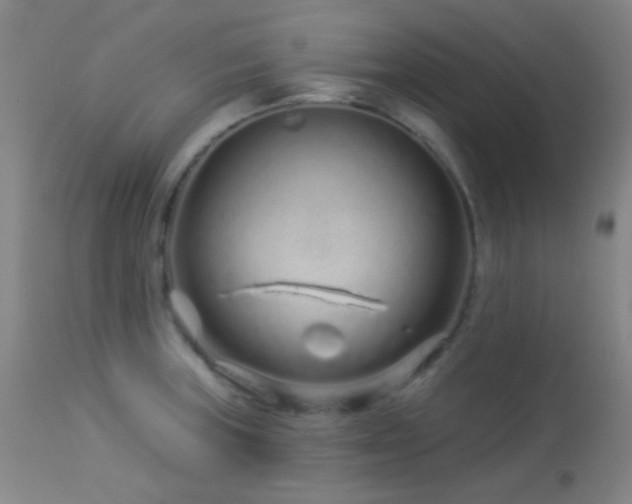 X0000114211235200910091316