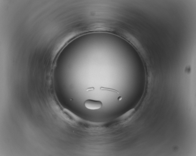 X0000114211236200910091316