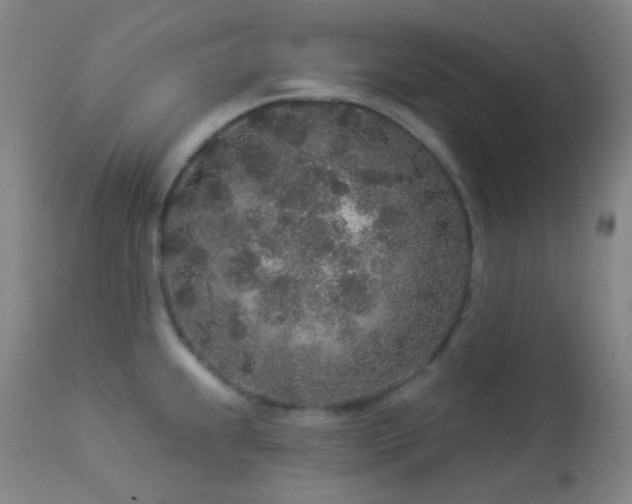 X0000114211239200910091316