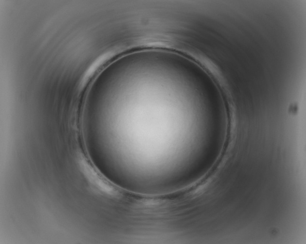 X0000114211240200910091316