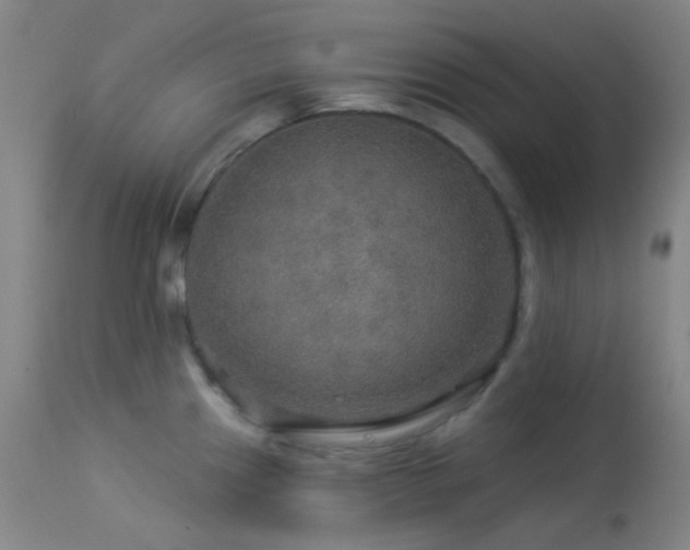 X0000114211241200910091316
