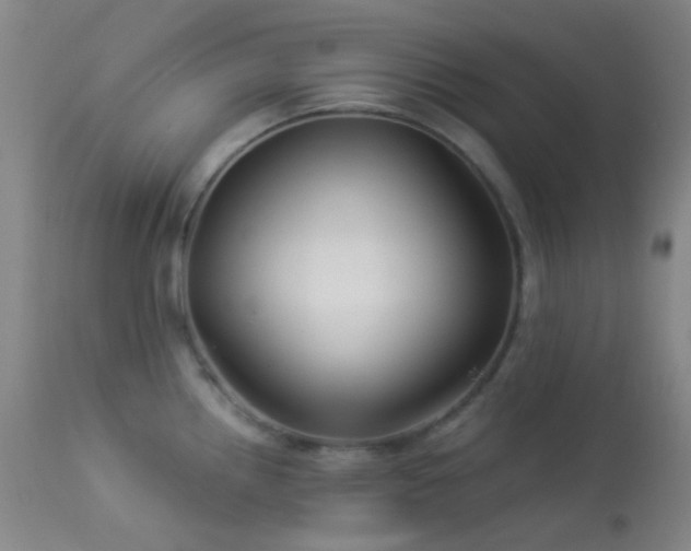 X0000114211242200910091316
