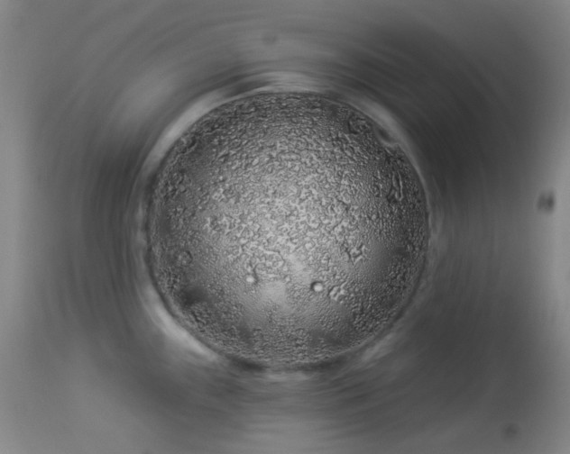 X0000114211243200910091316