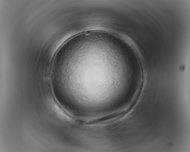 X0000114211244200910091316