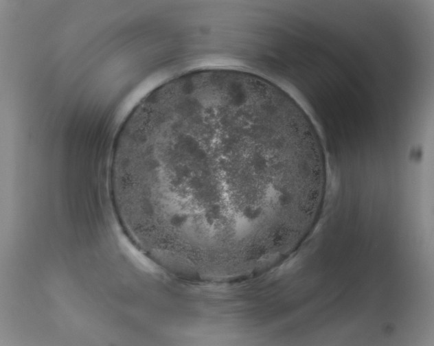 X0000114211245200910091316