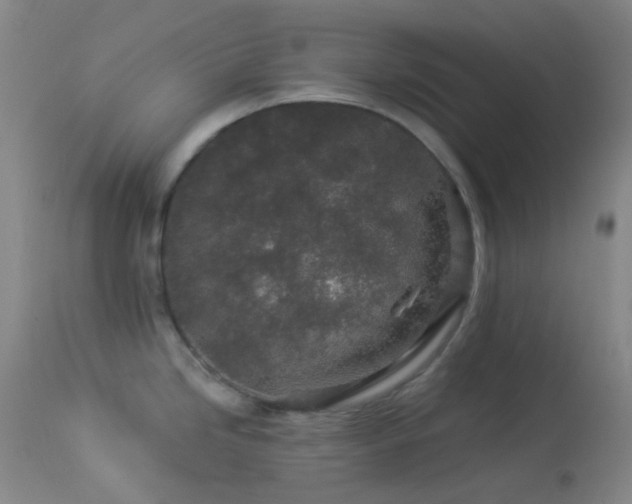 X0000114211246200910091316