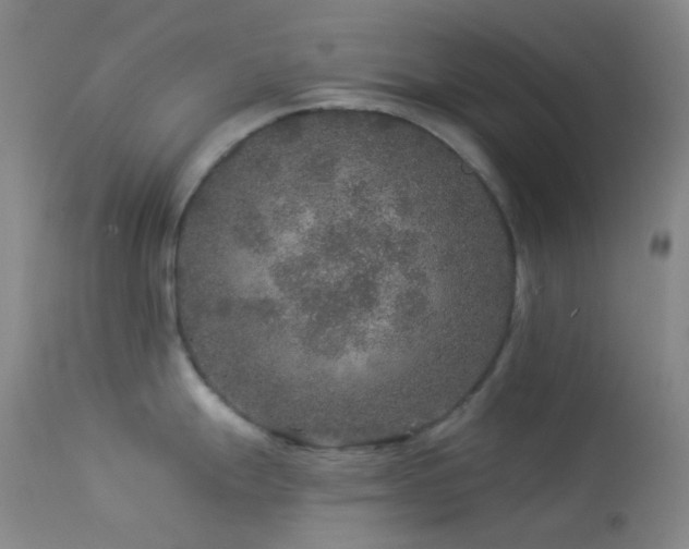 X0000114211247200910091316