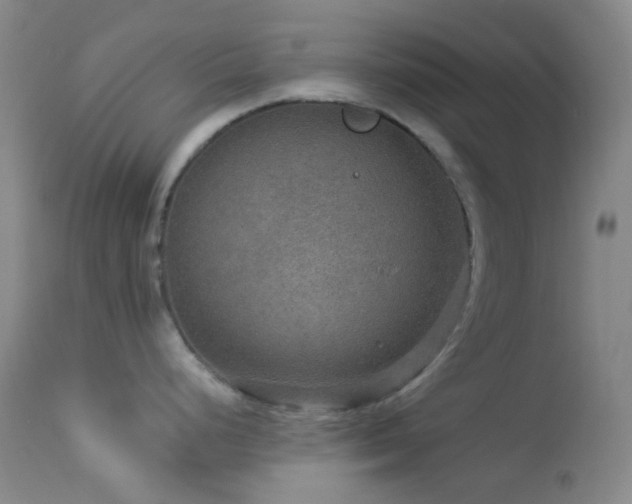 X0000114211248200910091316