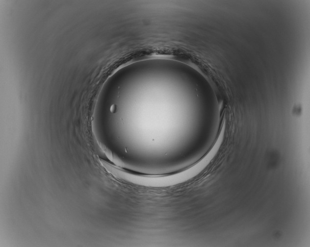 X0000114211249200910091316