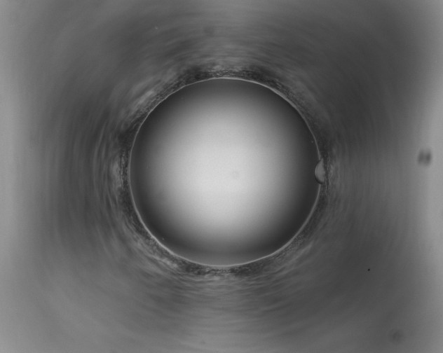 X0000114211250200910091316