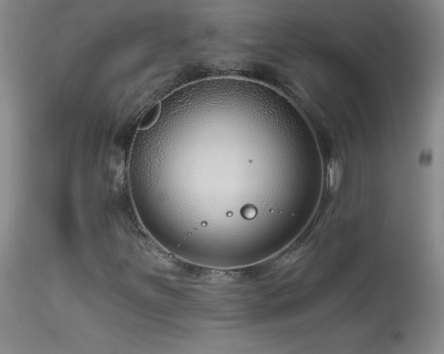 X0000114211251200910091316