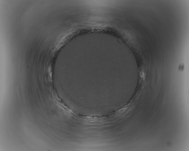 X0000114211252200910091316