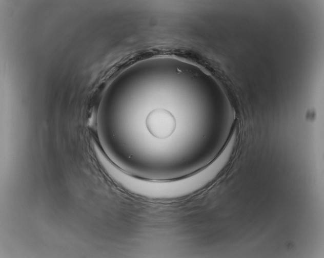 X0000114211253200910091316