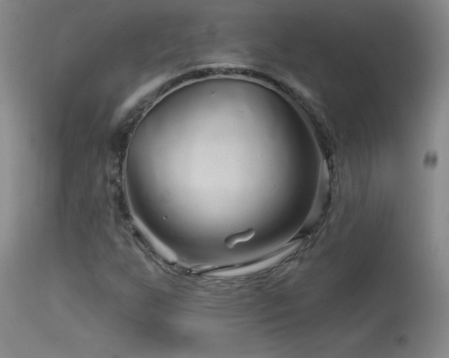 X0000114211255200910091316