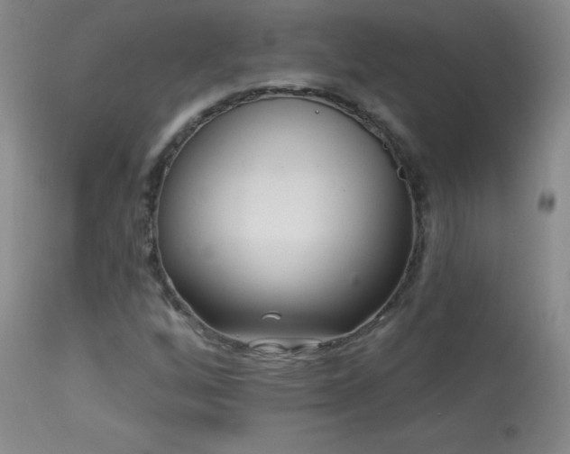 X0000114211256200910091316