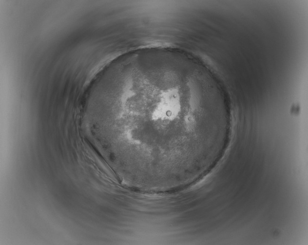 X0000114211257200910091315