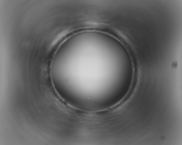 X0000114211259200910091315