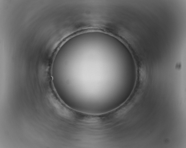 X0000114211260200910091315