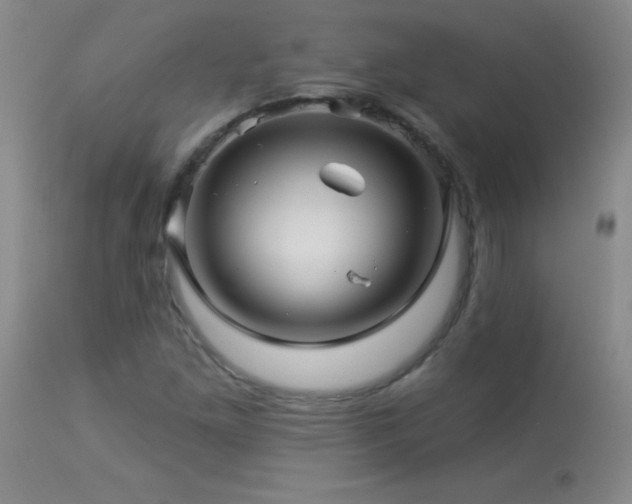 X0000114211261200910091315