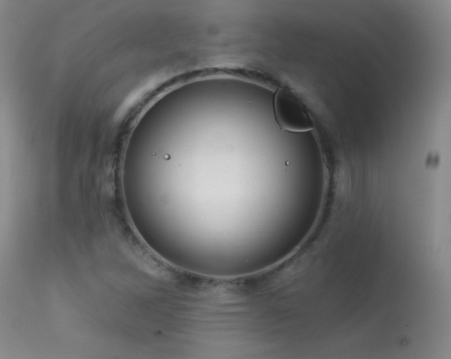 X0000114211262200910091315