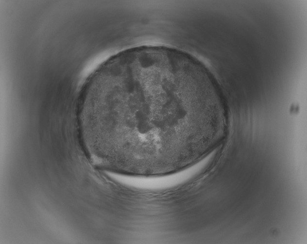 X0000114211263200910091315