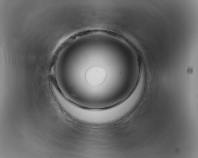 X0000114211264200910091315