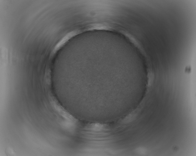 X0000114211266200910091315
