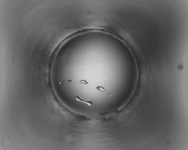 X0000114211268200910091315