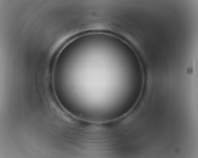 X0000114211270200910091315