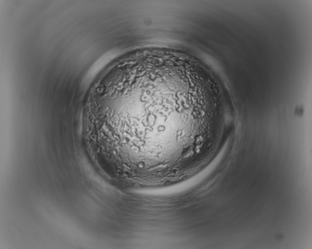 X0000114211275200910091315