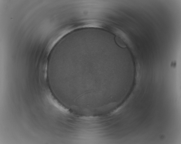 X0000114211276200910091315
