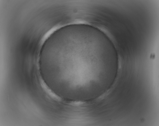 X0000114211278200910091315