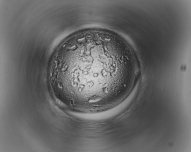 X0000114211279200910091315