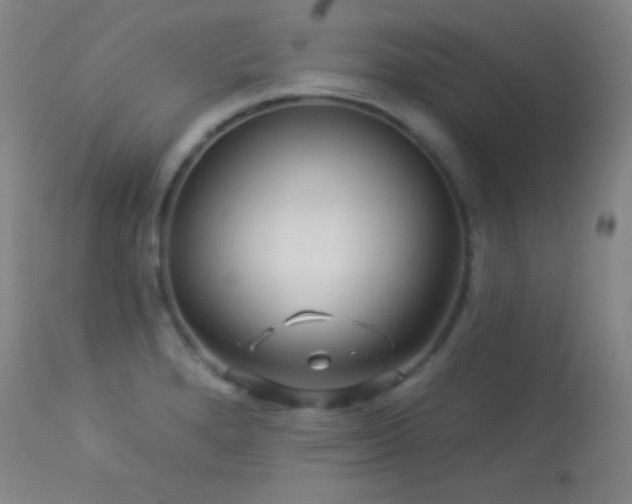X0000114211280200910091315