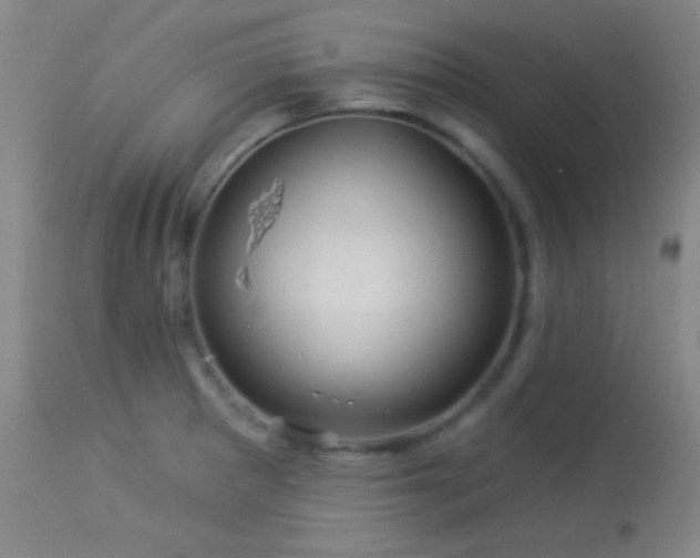 X0000114211281200910091315