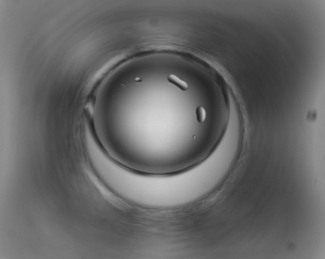 X0000114211285200910091315