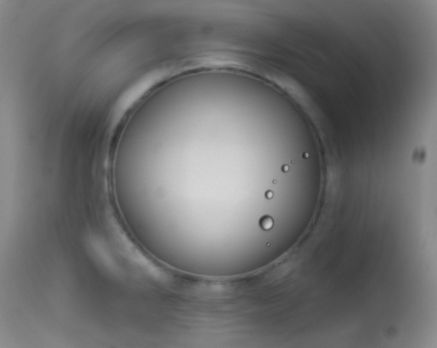 X0000114211286200910091315