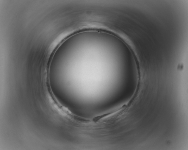 X0000114211287200910091315