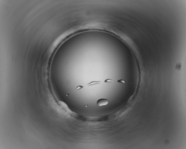 X0000114211288200910091315
