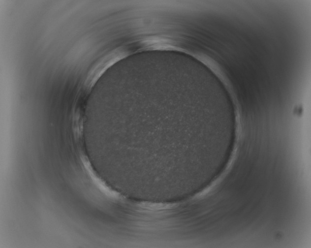 X0000114211289200910091315
