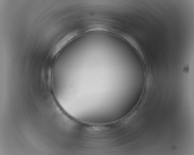 X0000114211290200910091315
