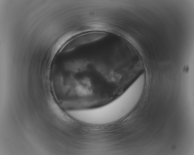 X0000114211291200910091315