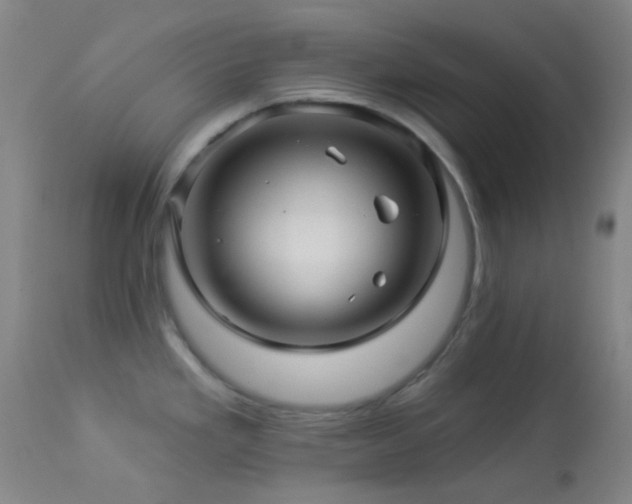 X0000114211293200910091315