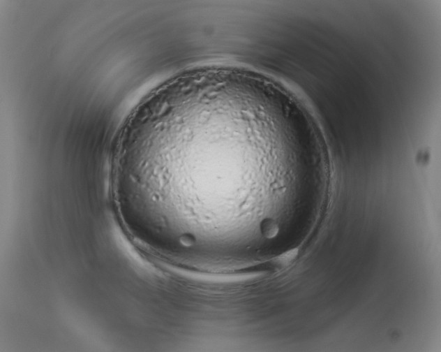 X0000114211295200910091315