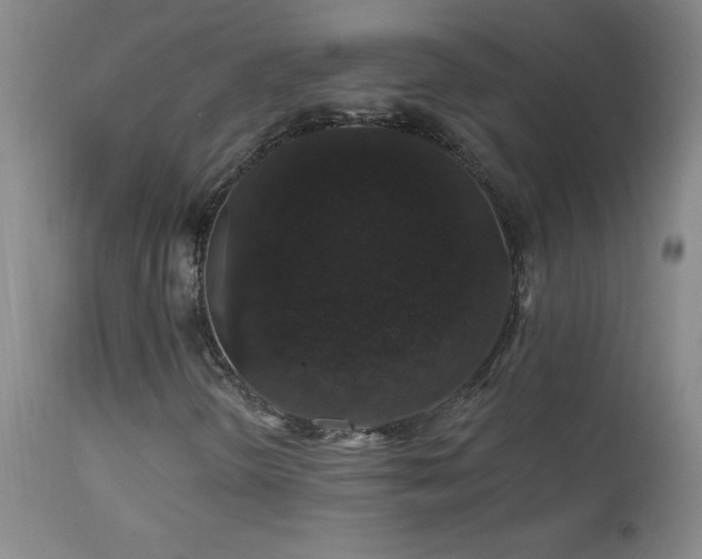 X0000114211298200910091314