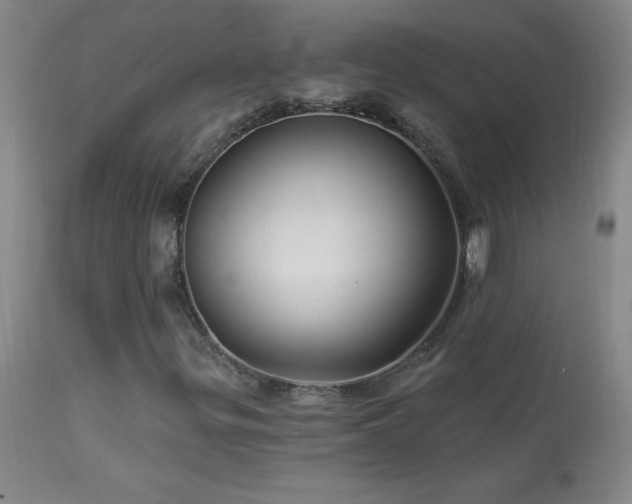 X0000114211299200910091314