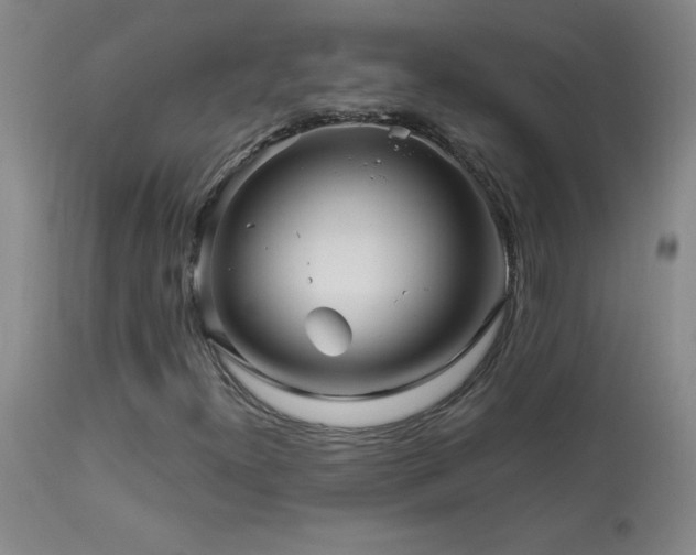 X0000114211300200910091314