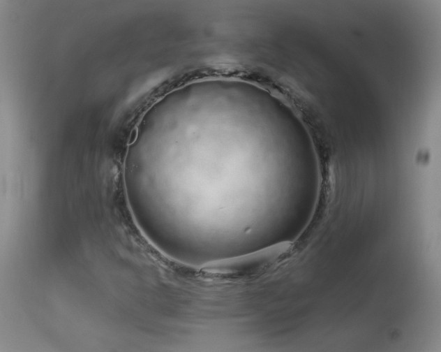 X0000114211302200910091314