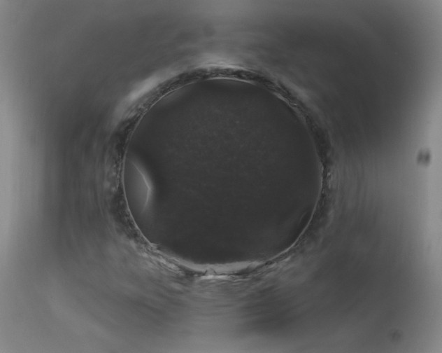 X0000114211303200910091314