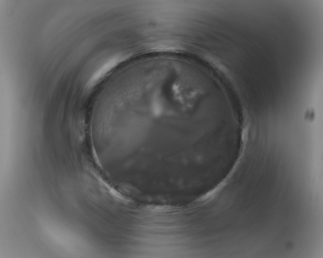 X0000114211306200910091314
